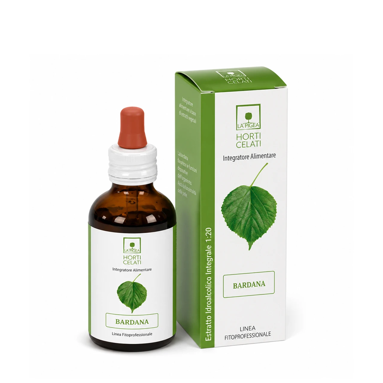 Tintura-Madre-Bardana-Bio-50Ml-Santiveri