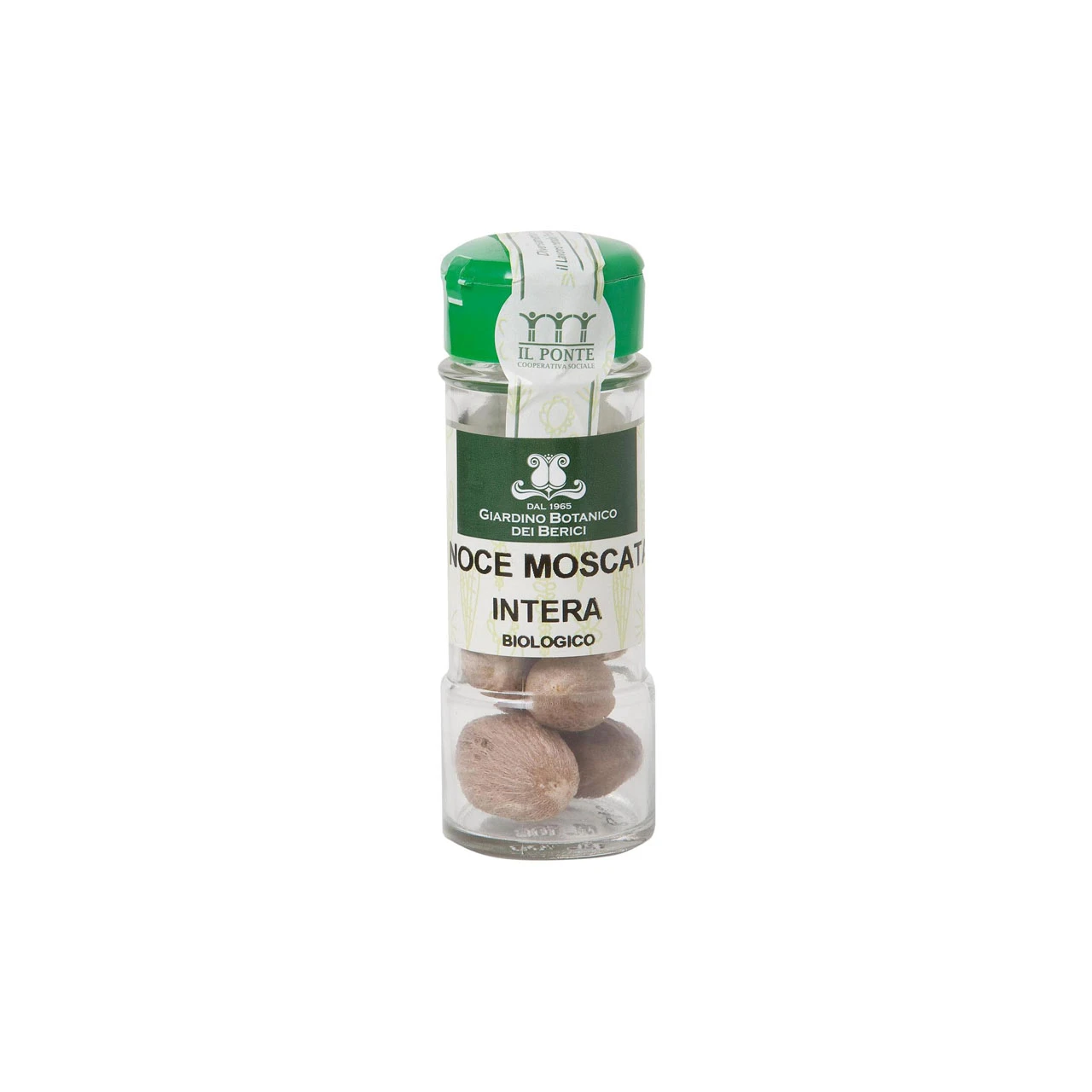 noce-moscata-intera-40gr-il-giardino-botanico-dei-berici