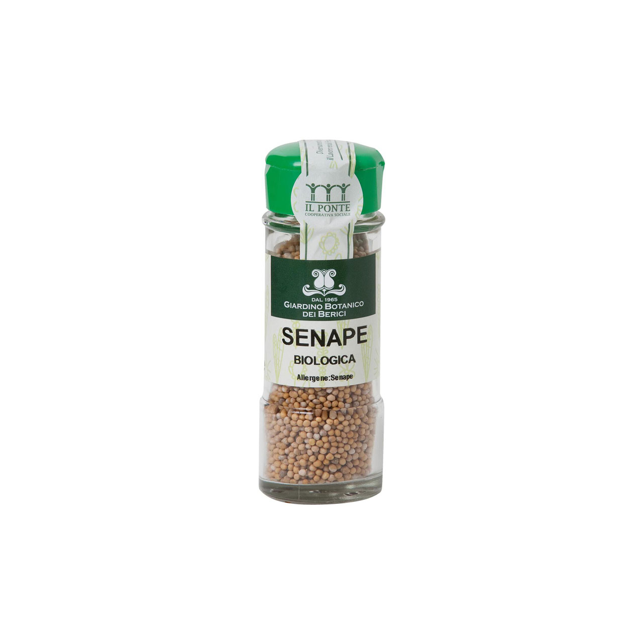 senape-in-semi-60gr-il-giardino-botanico-dei-berici