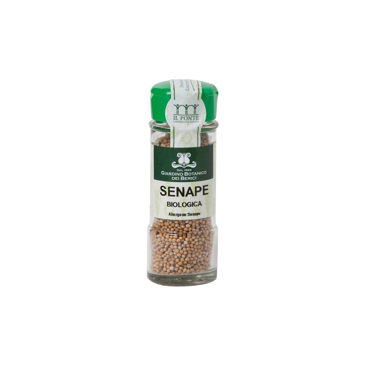 senape-in-semi-60gr-il-giardino-botanico-dei-berici