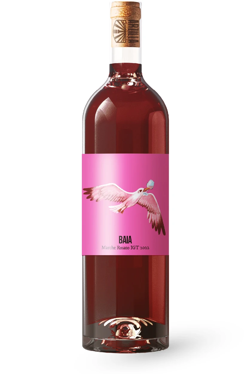 vino-rosato-baia-0,75lt-agricola-arzilla