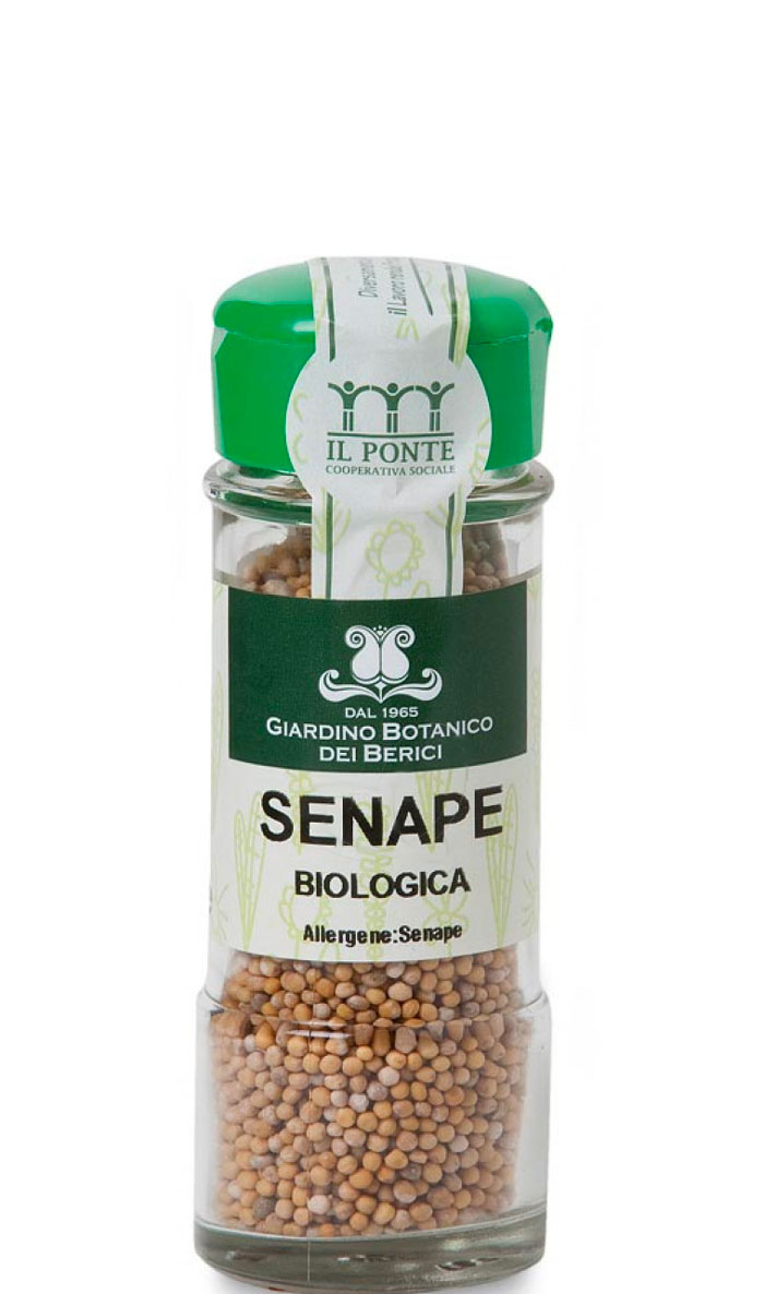 senape-in-semi-60gr-il-giardino-botanico-dei-berici