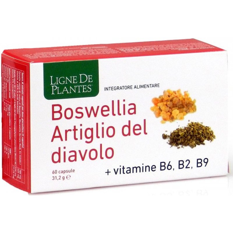 Boswellia-Artiglio-del-Diavolo-+-B6-B2-B9-60-Compresse-Ligne-de-Plantes