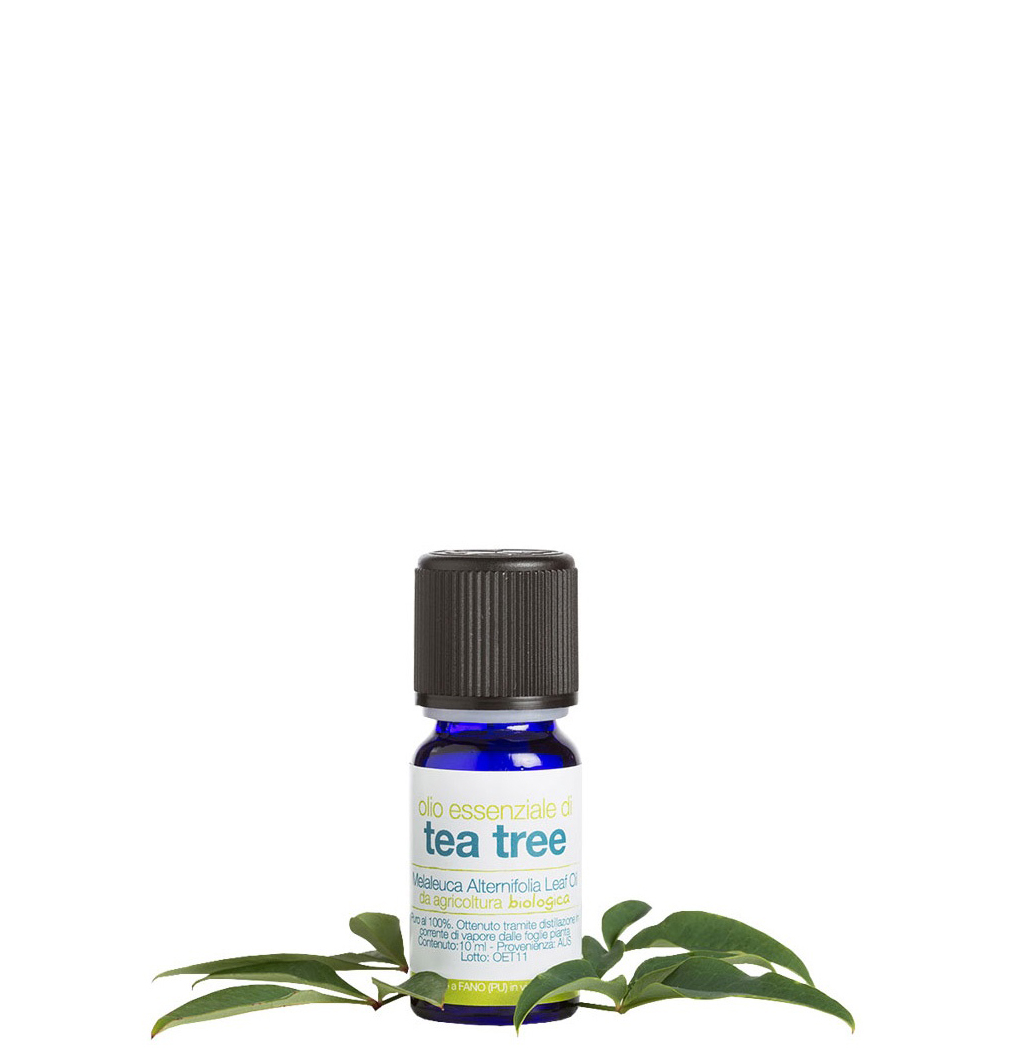 oe-tea-tree-bio-10ml-la-saponaria