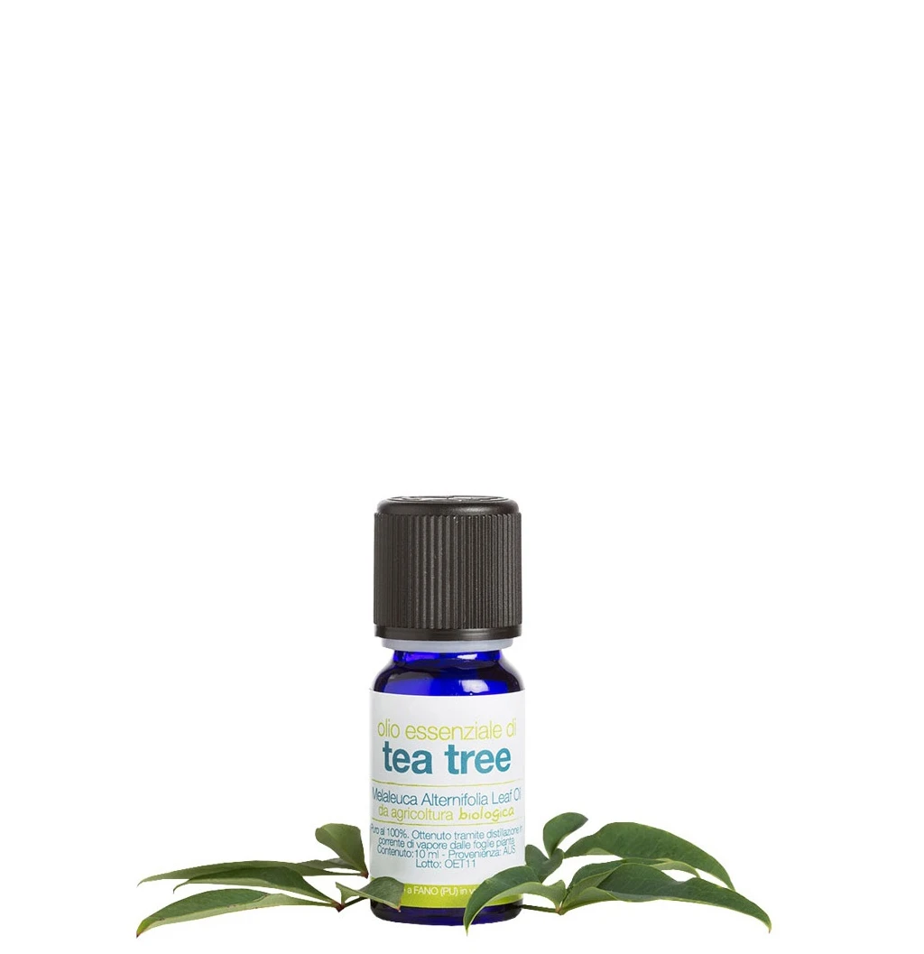 oe-tea-tree-bio-10ml-la-saponaria