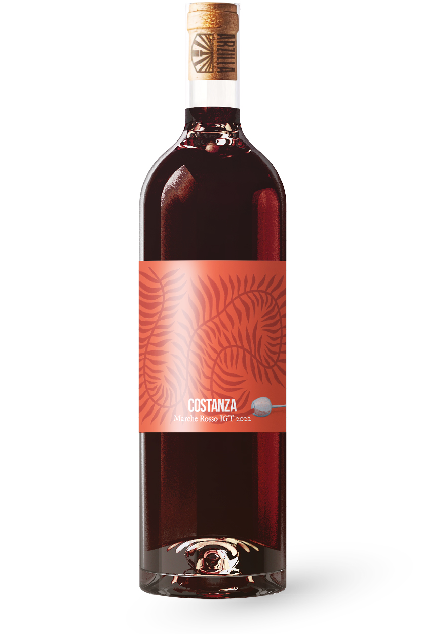 vino-rosso-costanza-0,75lt-agricola-arzilla