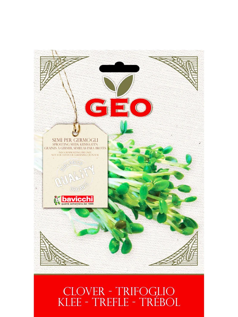 semi-di-trifoglio-da-germogliare-50gr-geo