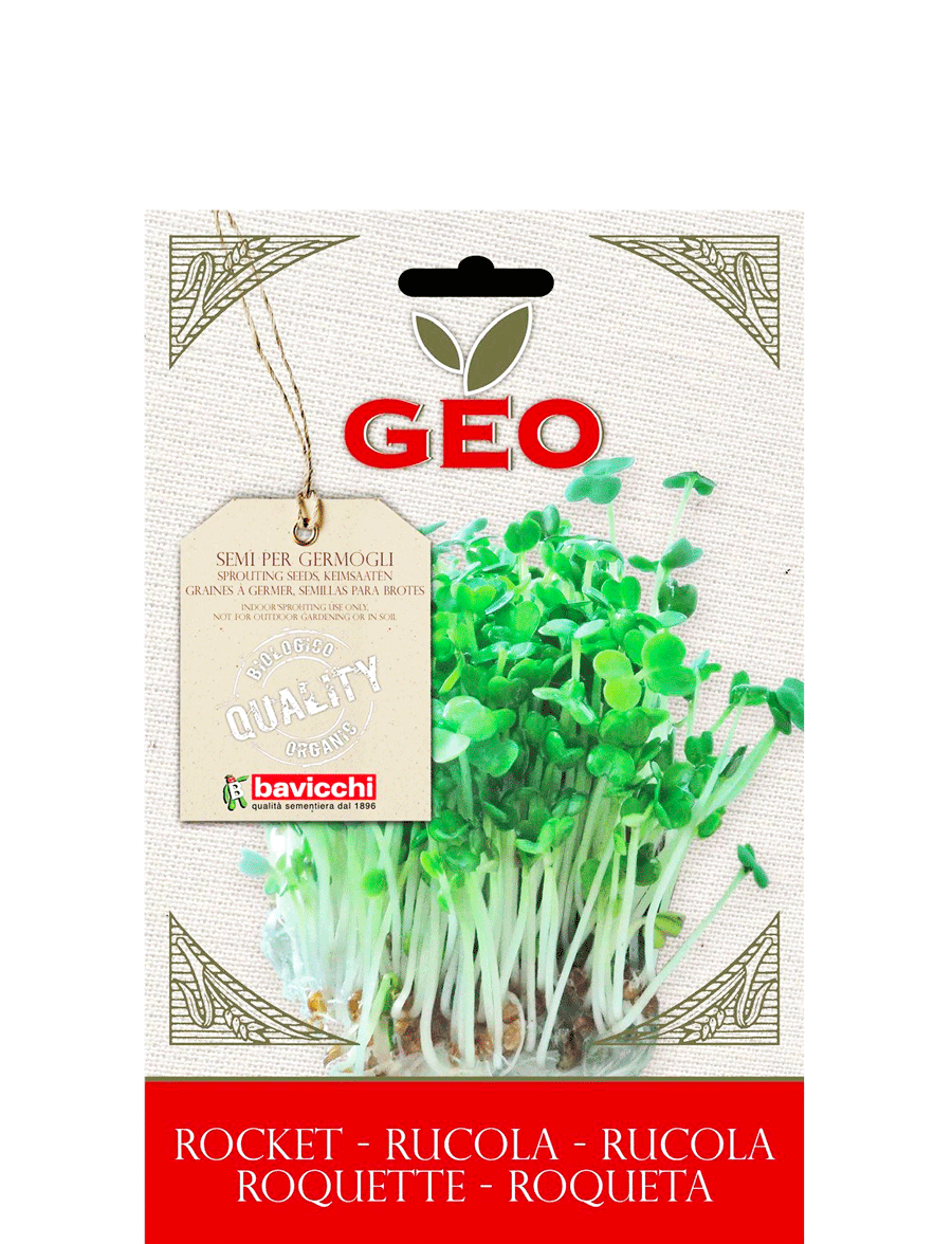 semi-di-rucola-da-germogliare-30gr-geo