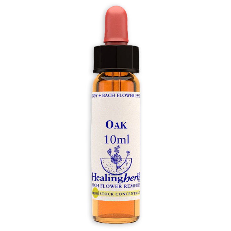 fiori-di-bach-nr22-oak-10ml