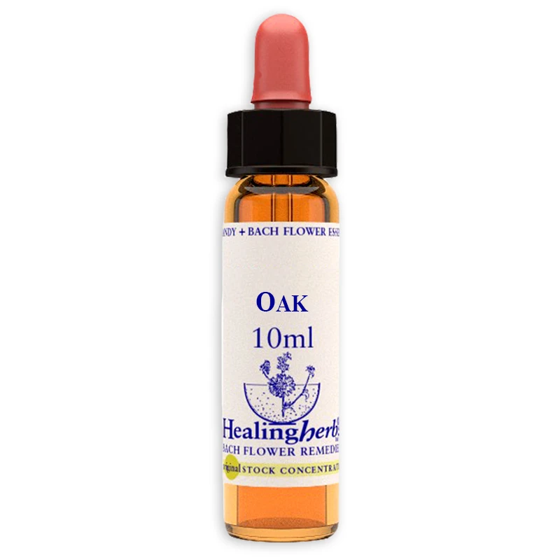 fiori-di-bach-nr22-oak-10ml