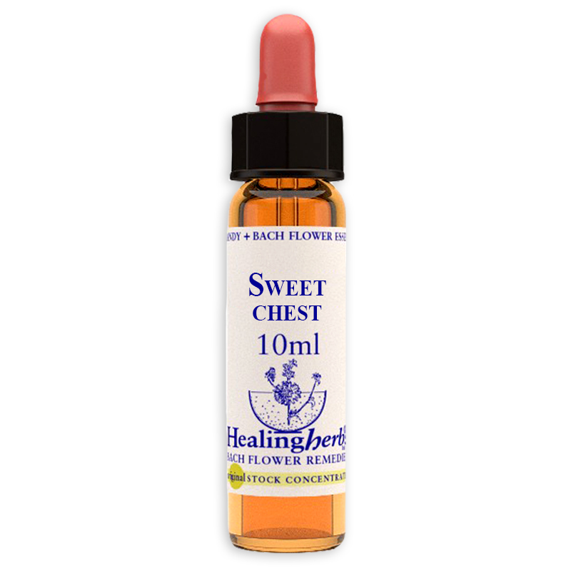 fiori-di-bach-nr30-sweet-chestnut-10ml