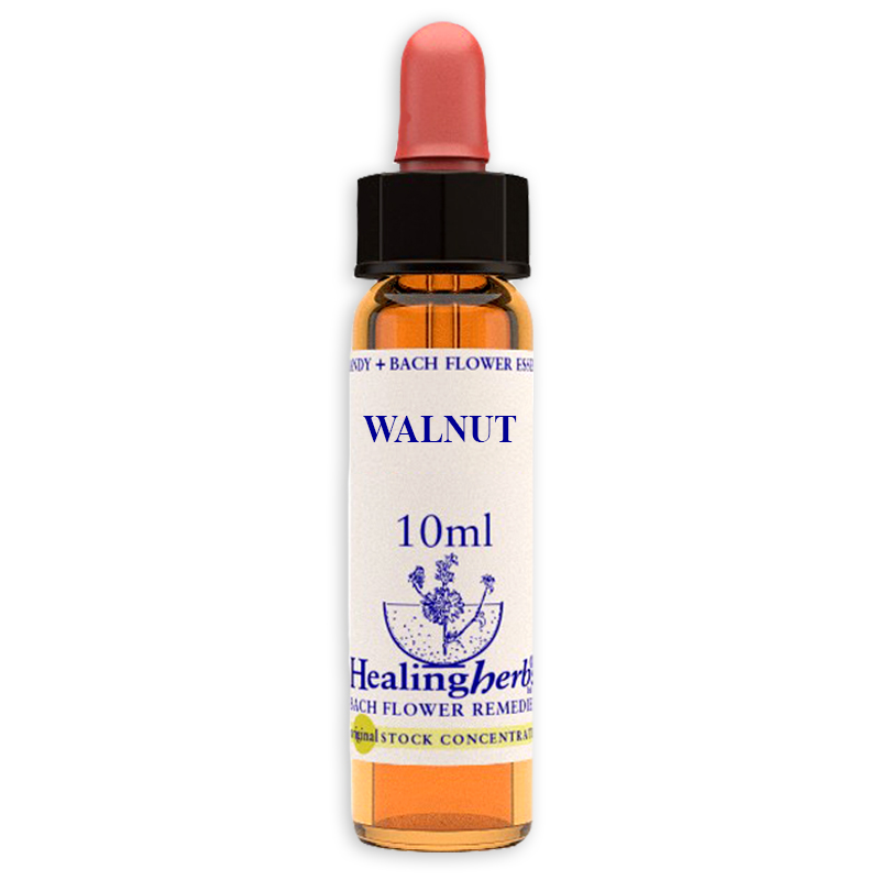 fiori-di-bach-nr33-walnut-10ml