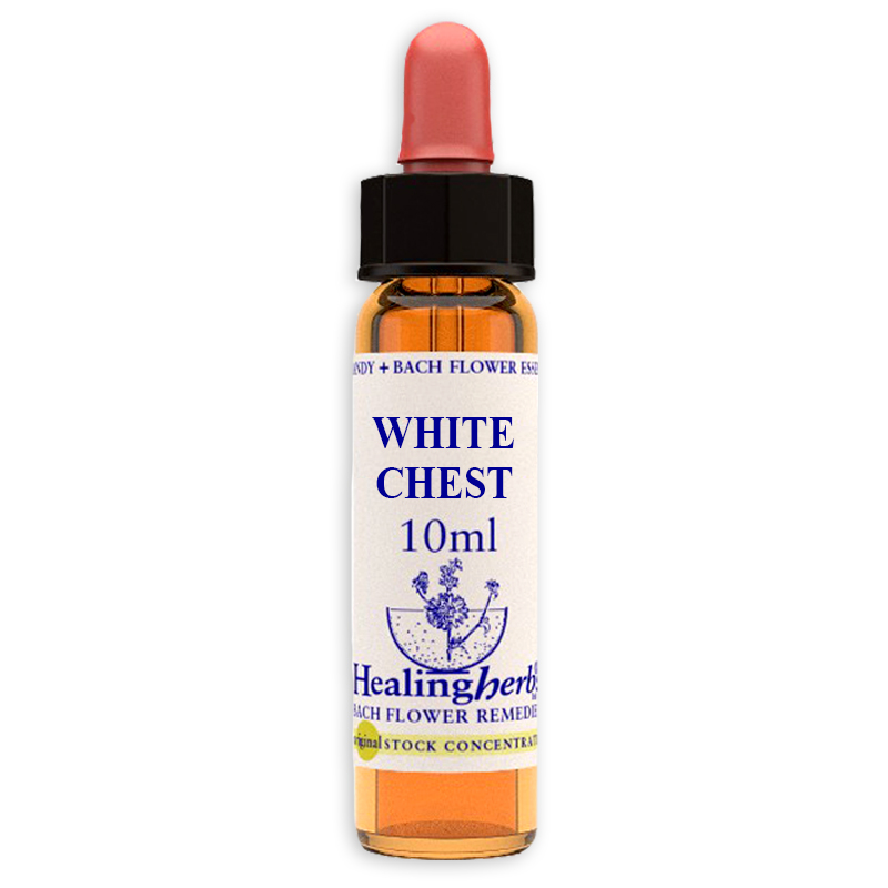 fiori-di-bach-nr.35-white-chestnut-10ml