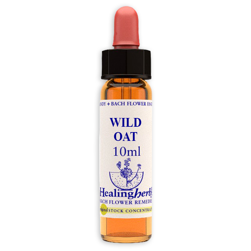 fiori-di-bach-nr36-wild-oat-10ml
