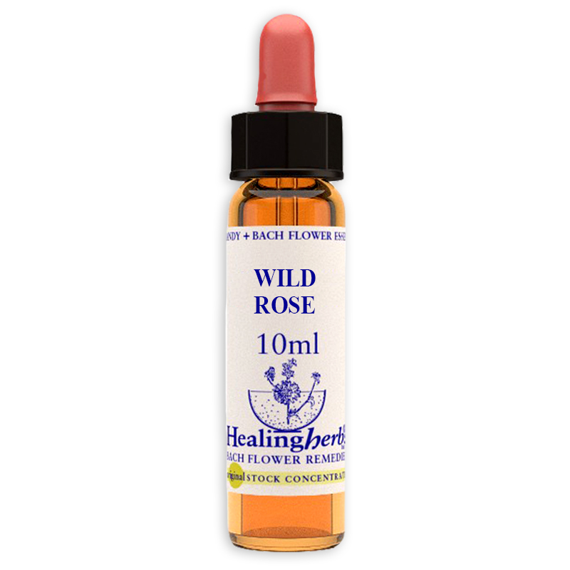 fiori-di-bach-nr37-wild-rose-10ml