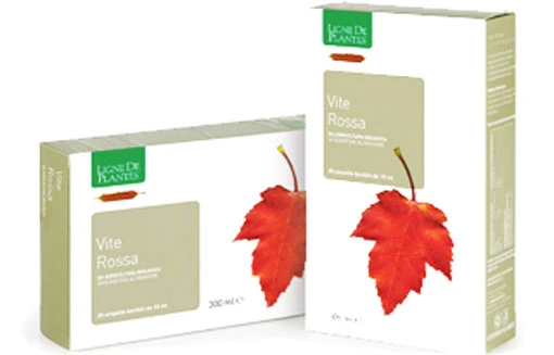 ampolle-vite-rossa-300ml-ligne-de-plantes