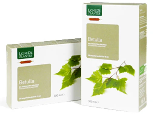 ampolle-linfa-di-betulla-300ml-ligne-de-plantes