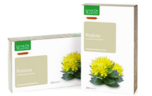 ampolle-rodiola-300ml-ligne-de-plantes-