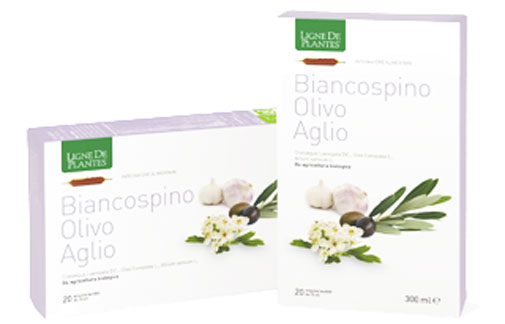 ampolle-biancospino-olivo-aglio-300ml-ligne-de-plantes-