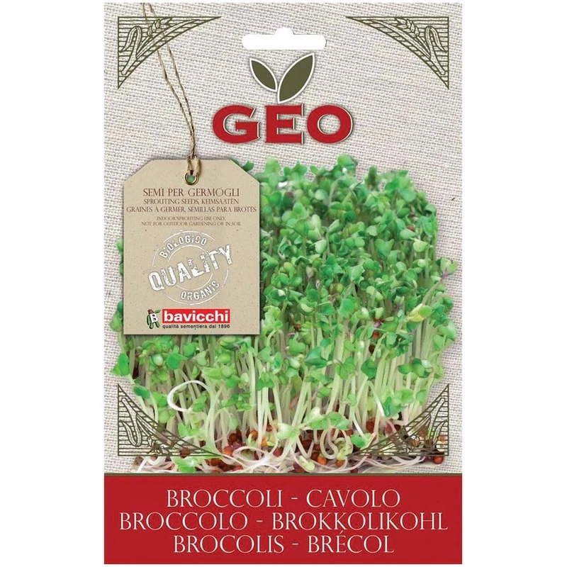 Semi-di-cavolo-broccolo-da-germogliare-13Gr-Geo