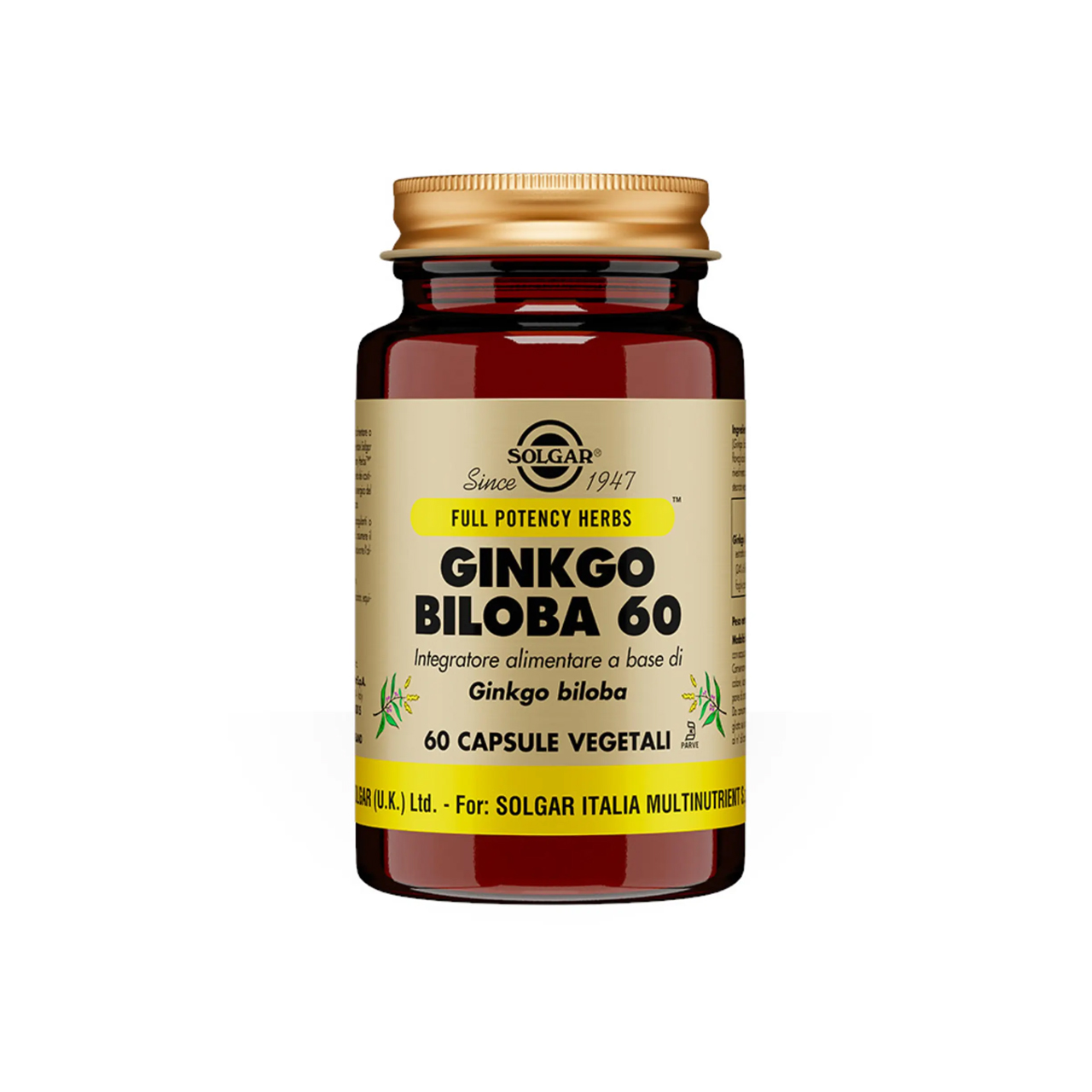 integratore-ginkgo-biloba-60-21gr-solgar