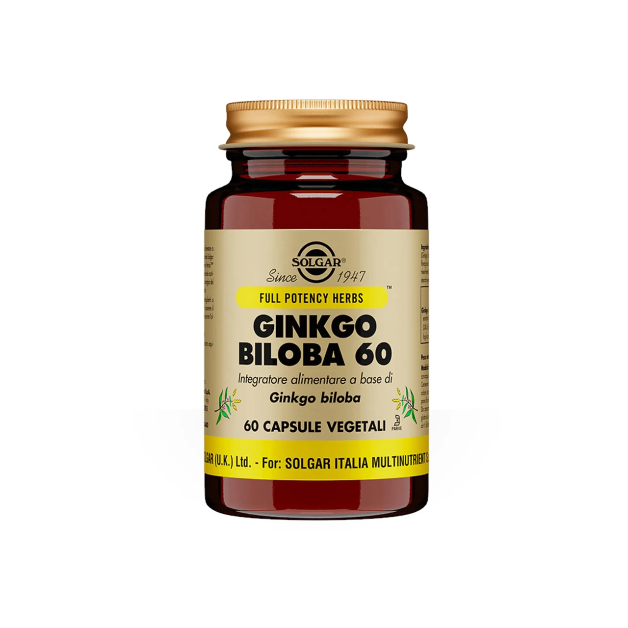 integratore-ginkgo-biloba-60-21gr-solgar